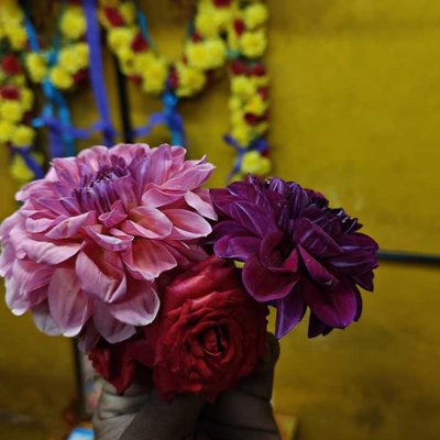 flowers