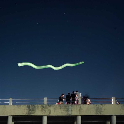 Flying Snake 💚💚
