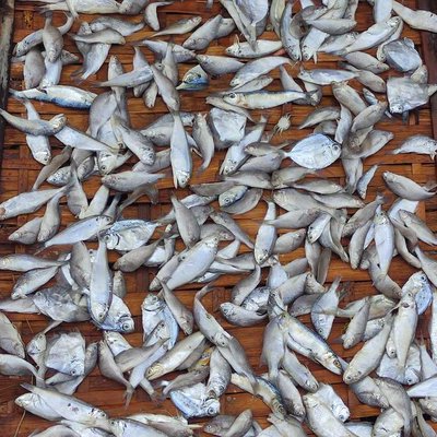 Ikan Asin