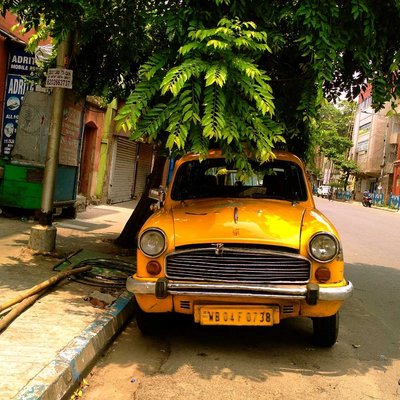 Yellow Taxi