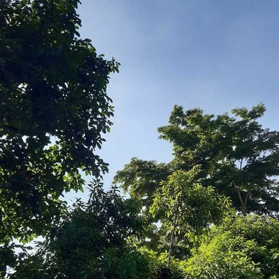 Summer is real💚🧡🥵