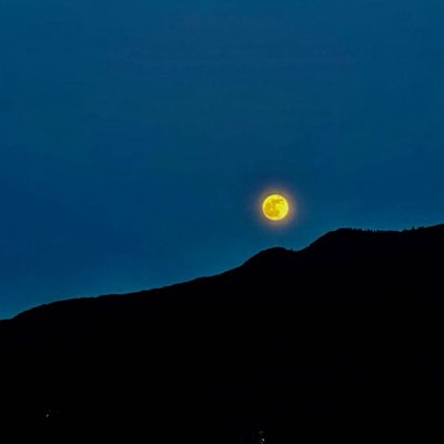 Moon Night 