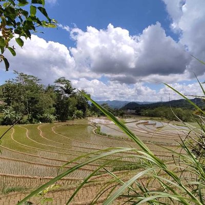 Terasering Perbatasan 