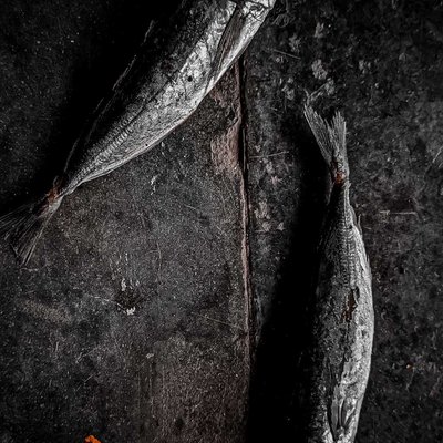 ikan cue