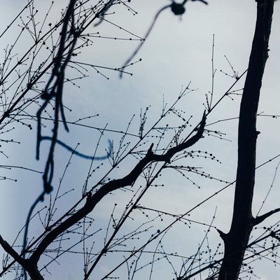 Heaven is under our feet as well as over our heads.😍  #shotoniphone