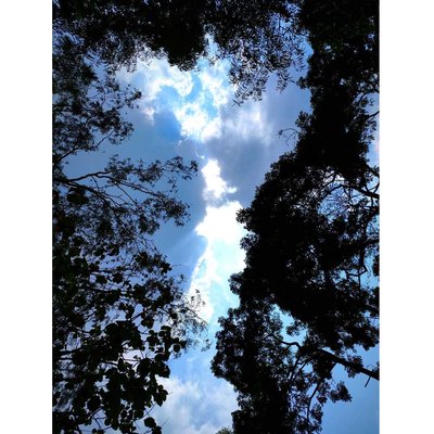 Skyu