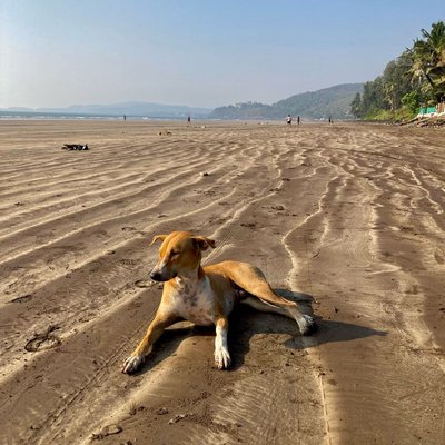 M U R U D  B E A C H ☀️🏝️🐚