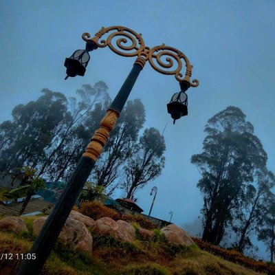 foggy 🌁 lamp... 