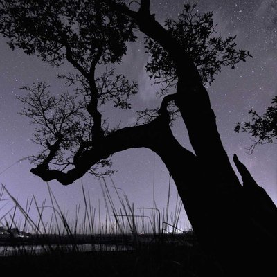 blanket of stars over harintilla
