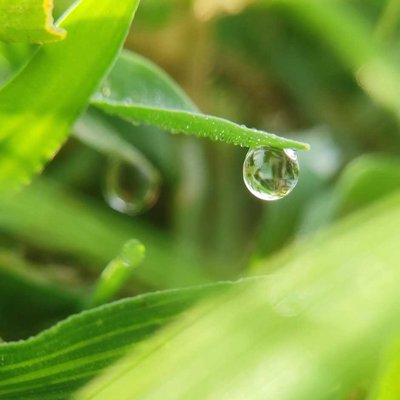 Macro shot of Water 💧