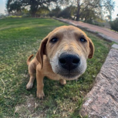 capture moment shoot this Skyvik fisheye lens 