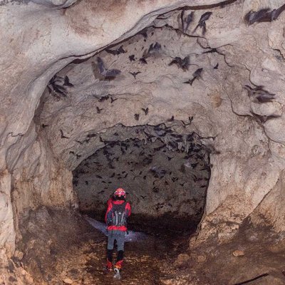 Explorasi Gua Lobo
