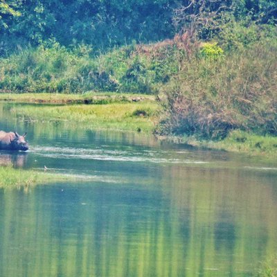 World Rhino Day 2022