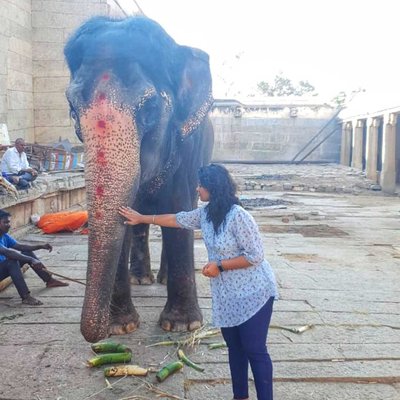 Lakshmi Elephant (Goddess) 