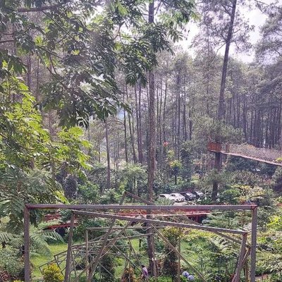 Taman Orchid Forest Cikole