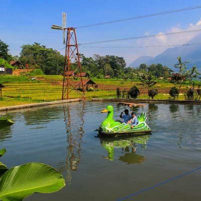 Wisata Sawah Sumber Gempong