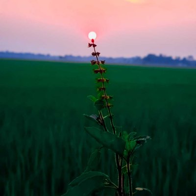beautiful sunset 🥰