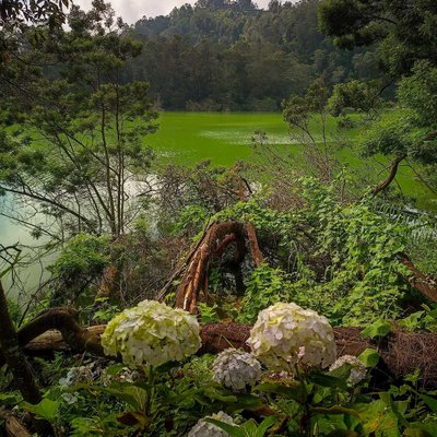 Telaga Warna, Dieng