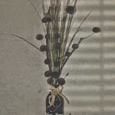 dried flowers