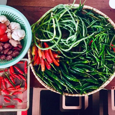 Harvest from home ♥️😽