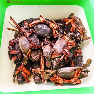 Kepiting Bakau dari Inhil