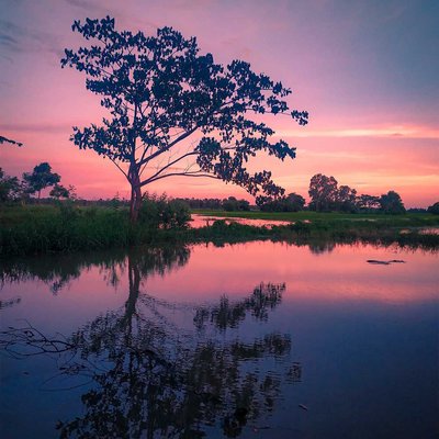 reflection