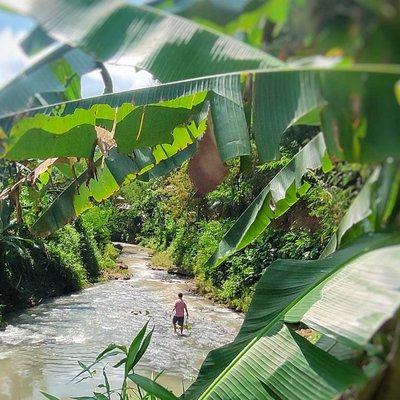 Membersihkan sampah di Sungai