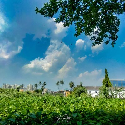 beauty of nature 