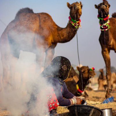 pushkar series 9/9
