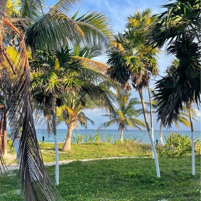 Tulum 🇲🇽