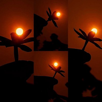 sunset lovers...🧡✨️