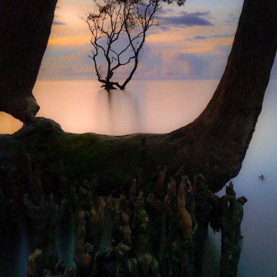 Pantai Joko Mursodo