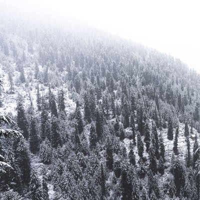 Landscapic Himachal