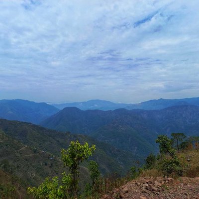 Nature peace