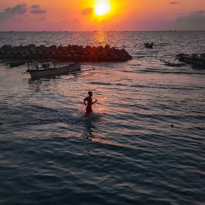 senja 
