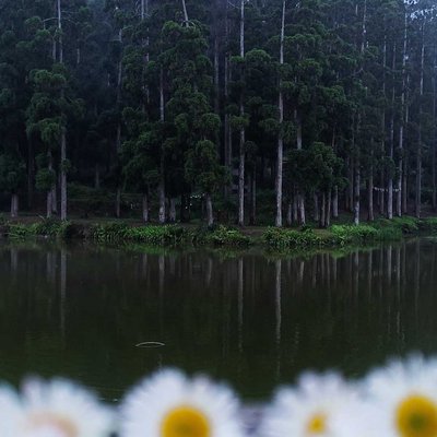 Beautiful Mirik Lake 