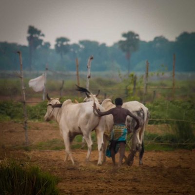 Farmer photography ❤️