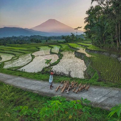 Landscape