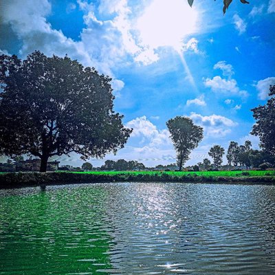 Pond at farmhouse 🖼