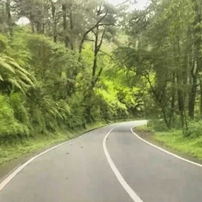 rindang  jl.gunung batur