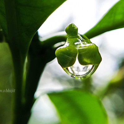Beauty of Nature 