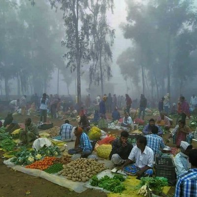 শীতের আগমনী বার্তা 😍
