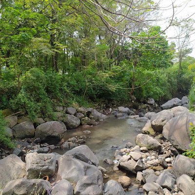 Taman Dayu