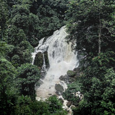 Cheeyappara Waterfalls