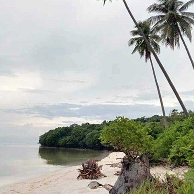 Pesisir