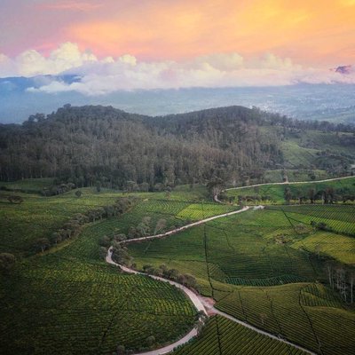 Jalan Pulosari