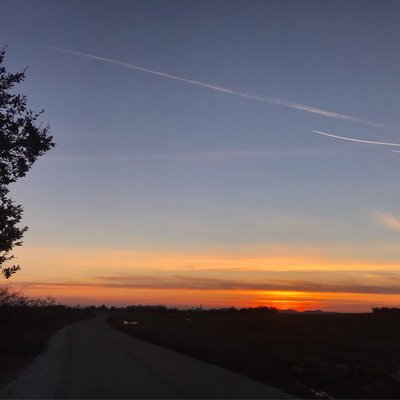 🌤