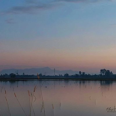 Dawn