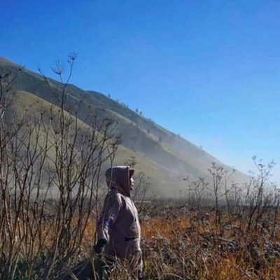 savana