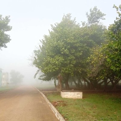 neblina mañanera